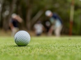 Top Tips for Choosing the Right Titleist AVX Golf Ball For You Right Titleist AVX Golf Ball