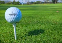 Are You Allowed To Pick Up Your Ball On The Fairway? are you allowed to pick up your ball on the fairway 2