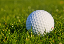What Should I Look For In Choosing New Golf Balls? golf ball in the grass