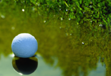 How Many Balls Do You Lose On Average Per Round? how many balls do you lose on average per round