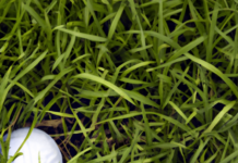 What Causes A Unhittable Lie In Golf? what causes a unhittable lie in golf