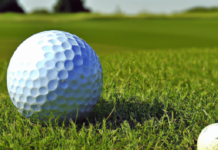 What Is The Difference Between Birdie And Eagle? what is the difference between birdie and eagle 2