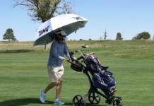 Why Should I Use A Push Cart Instead Of A Golf Cart? why should i use a push cart instead of a golf cart 1