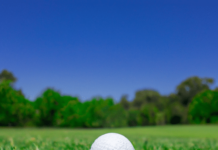 What Are Common Golf Terms: Birdie, Bogey, Eagle, Fairway, Rough, Divot, Mulligan, Ace, Hook, Slice? what are common golf terms birdie bogey eagle fairway rough divot mulligan ace hook slice