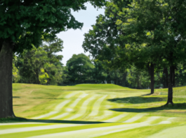 What Are The Best Ways To Find Cheaper Airfare And Hotels For Golf Trips? what are the best ways to find cheaper airfare and hotels for golf trips